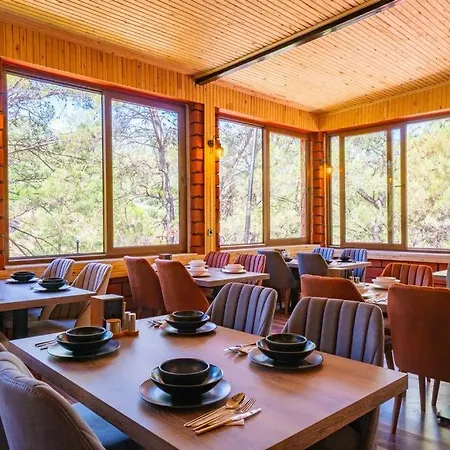 Goekbuek Serenity Gokbuk