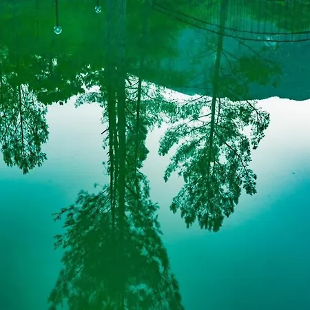 Serenity Aparthotel